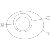 /algebre/set/.png