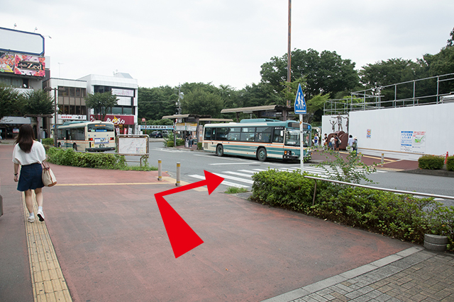 4.Continue to the left and cross the crosswalk