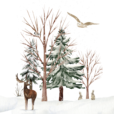 Protected: 8 x 10 Winter Wildlife