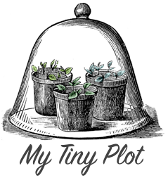 My Tiny Plot