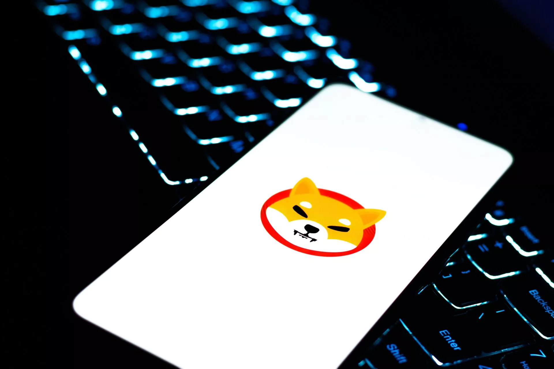 Shiba Inu ontwikkelaar: “Burn van 99% van SHIB tokens is haalbaar”