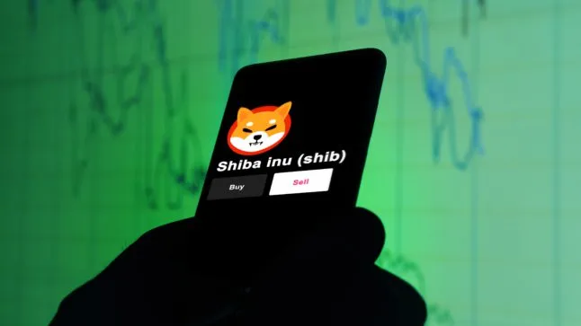 Explosieve groei voor Shiba Inu: Analist voorspelt 200% stijging