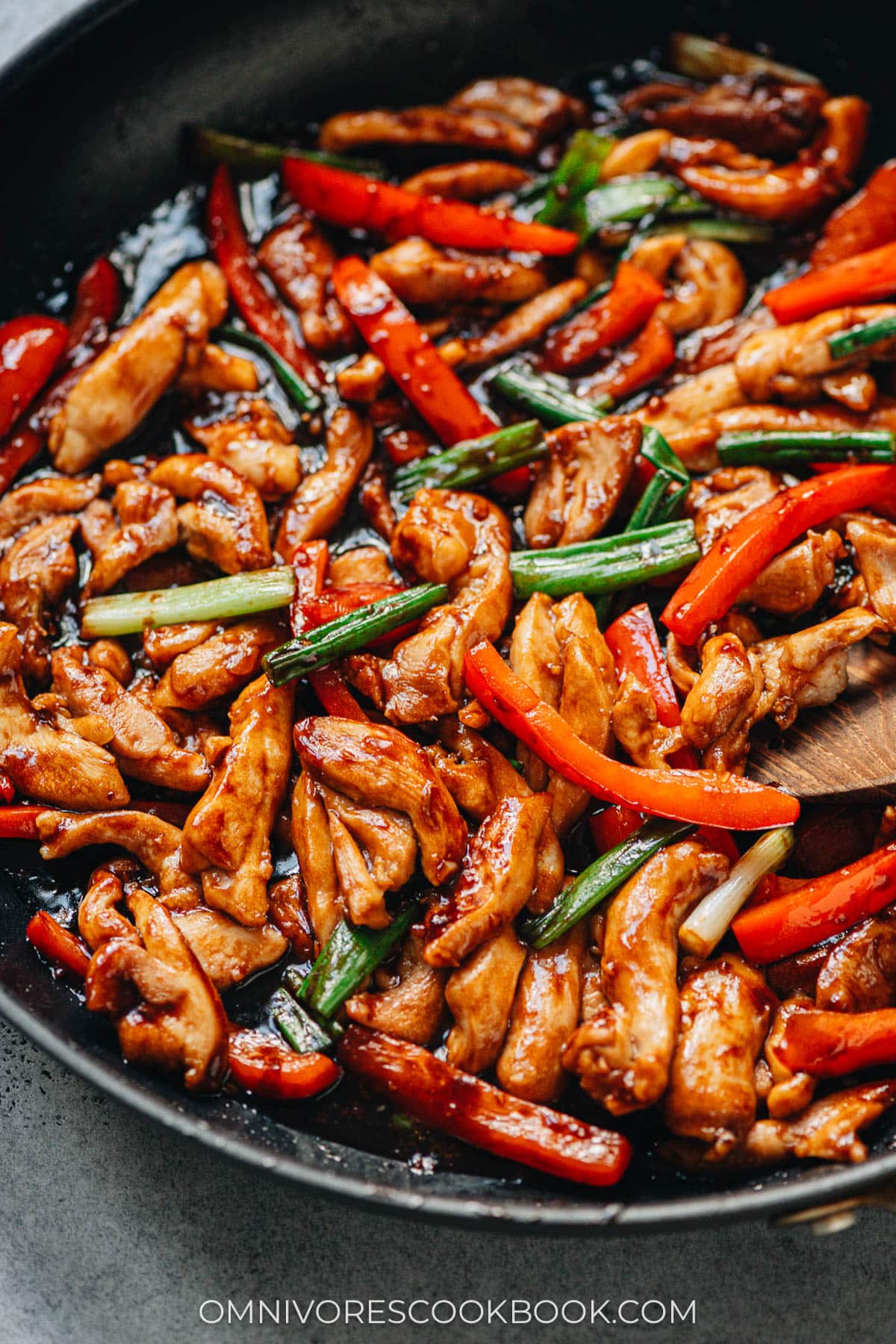 Homemade chicken with garlic sauce close up