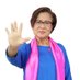 Leila de Lima Profile picture