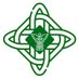 Irish Paramedicine Education & Research Network Profile picture