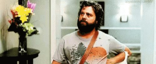 Zach Galifianakis Sassy GIF