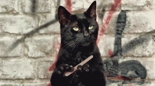 Tell Me More Salem GIF