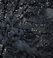 Pretty Snowing GIF