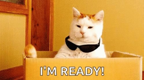 Im Ready Cat GIF