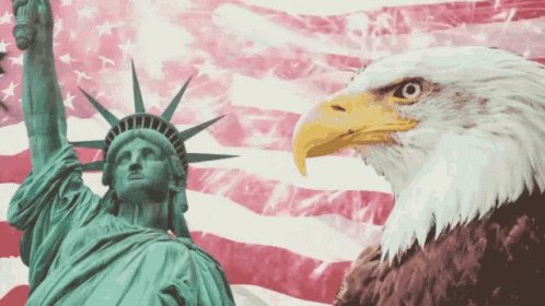 America Usa GIF