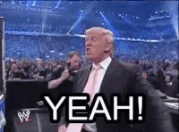 Wwe Donald GIF