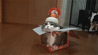 お正月　あけまして　猫　ねこ　ネコ　鏡餅　かがみもち GIF