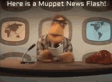 Muppets News Flash GIF