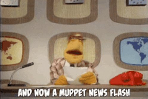 Muppet Newsflash GIF