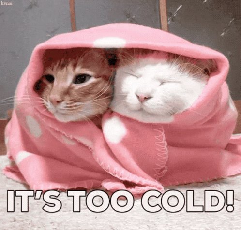 Cold Freezing GIF