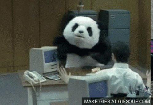 Angry Panda GIF