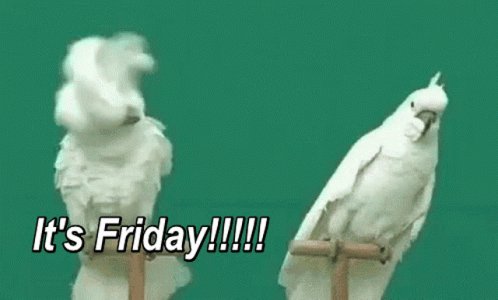 Its Friday Birds GIF