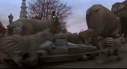 Jumanji Animals GIF