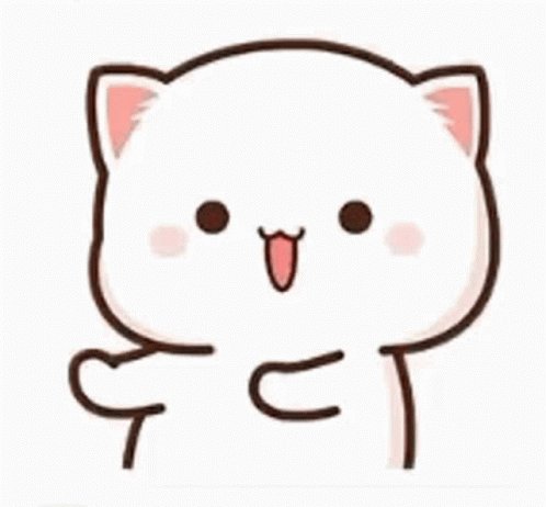 Mochi Cat GIF