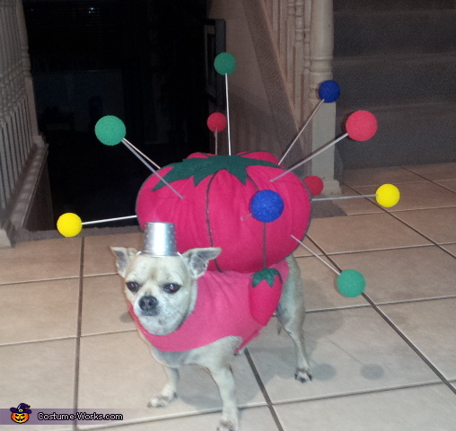 Pin Cushion Costume