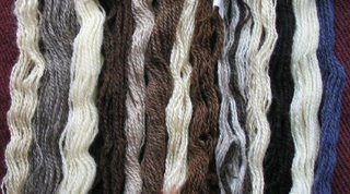 My handspun rare breed yarns so far.