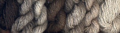 My handspun North Ronaldsay yarns in a range of colors.