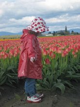 ~Hannah in the Tulips~