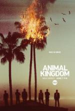 Animal Kingdom (TV Series)