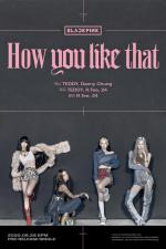 Blackpink: How You Like That (Music Video)