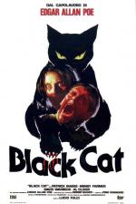 The Black Cat 