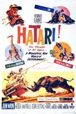 Hatari 