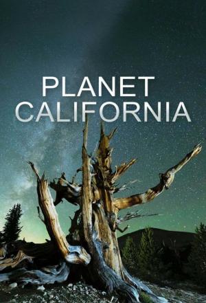 Planet California (Serie de TV)