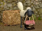 Shaun, a bárány 05