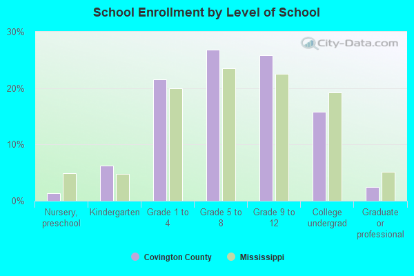 School Enrollment by Level of School