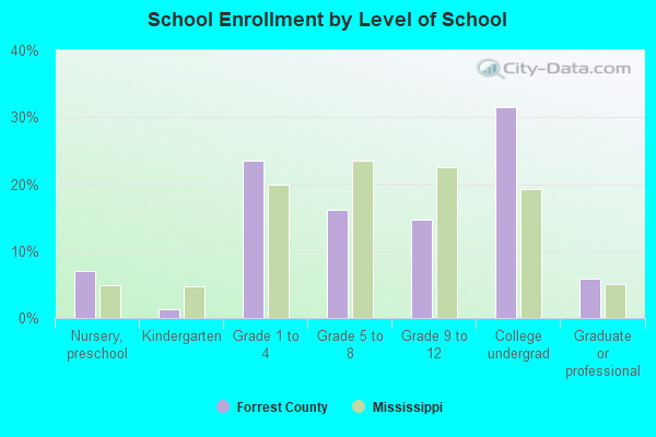 School Enrollment by Level of School