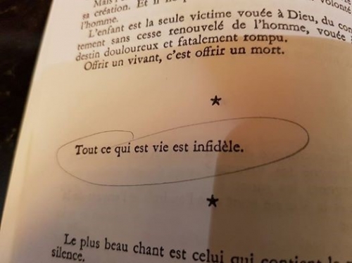 Marie Noël Notes intimes.jpg