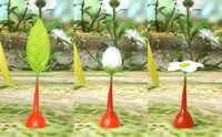 A screenshot showing the three stages of a Red Pikmin's maturity.