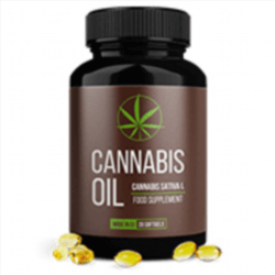 Cannabis Oil