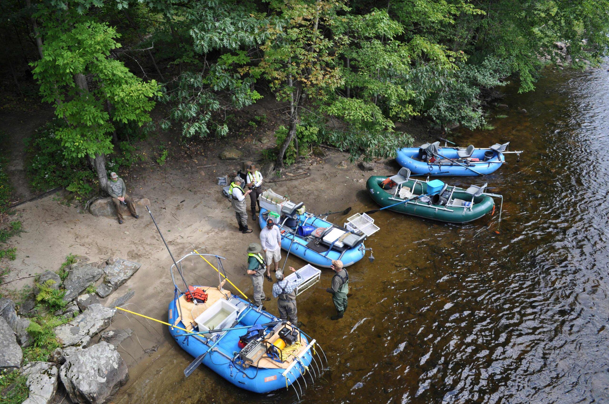 Tracking Trout On The Deerfield