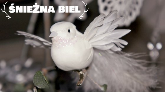 białe święta