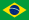 Português Brasil