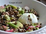 Salade de lentilles printanière