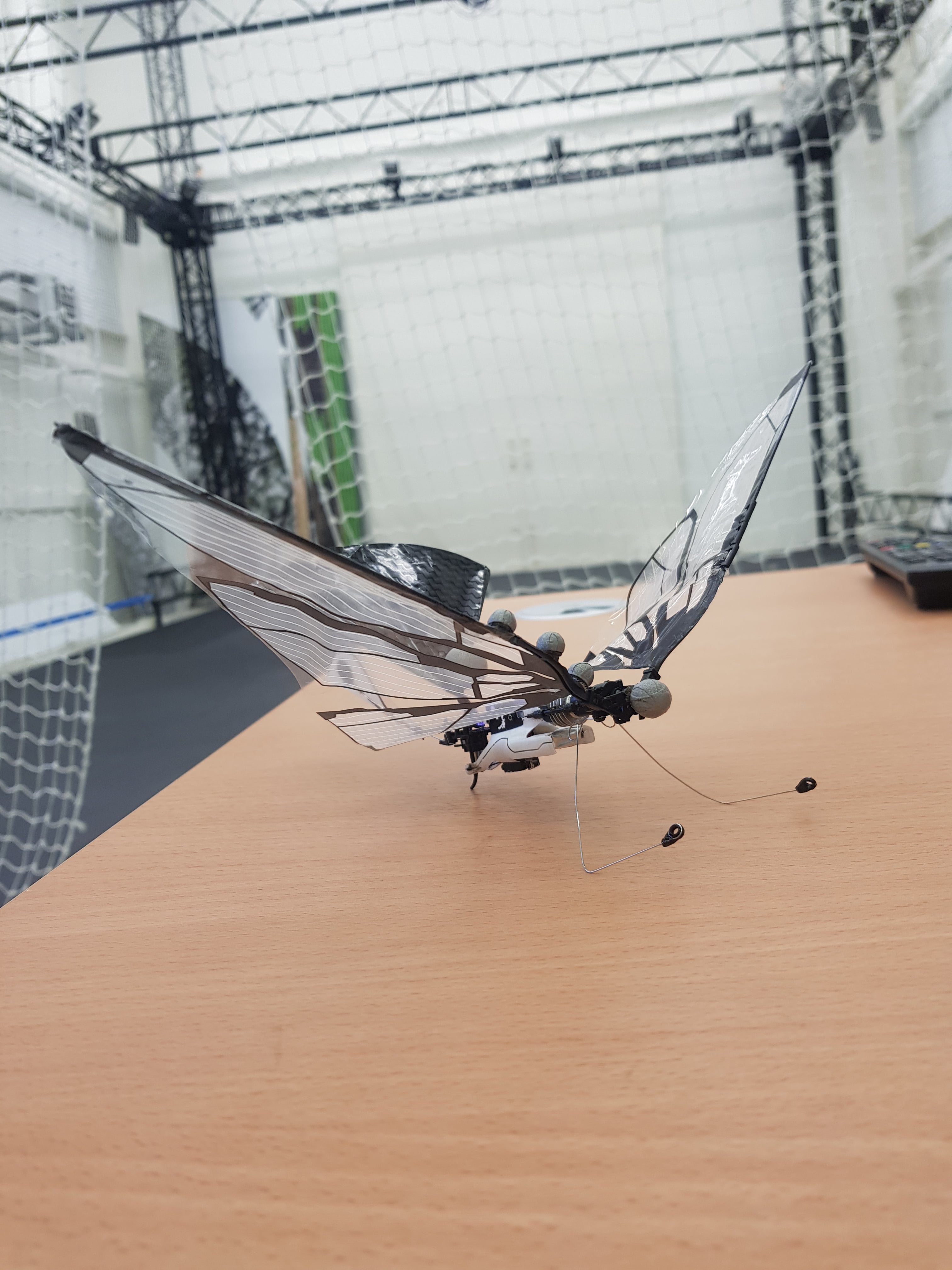 Flapping-Wing-Drone-Pitch-Analysis