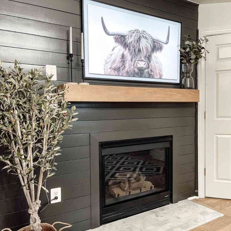 46 Gorgeous Farmhouse Shiplap Fireplace Ideas