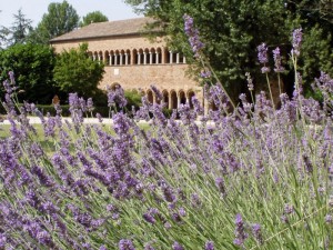 abbazia di pomposa