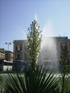 Fontana in Piazza delle Poste