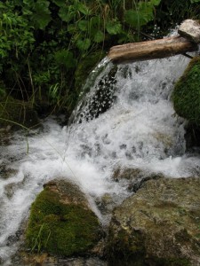 Fontana rupestre.