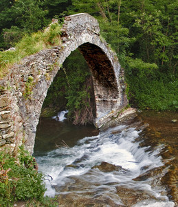 ” Pontino di Galà “