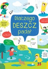 Okładka książki Dlaczego deszcz pada? Marta Krzemińska