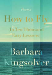 How to Fly in Ten Thousand Easy Lessons